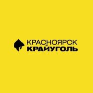 Отзыв генерального директора АО «КрайУголь»